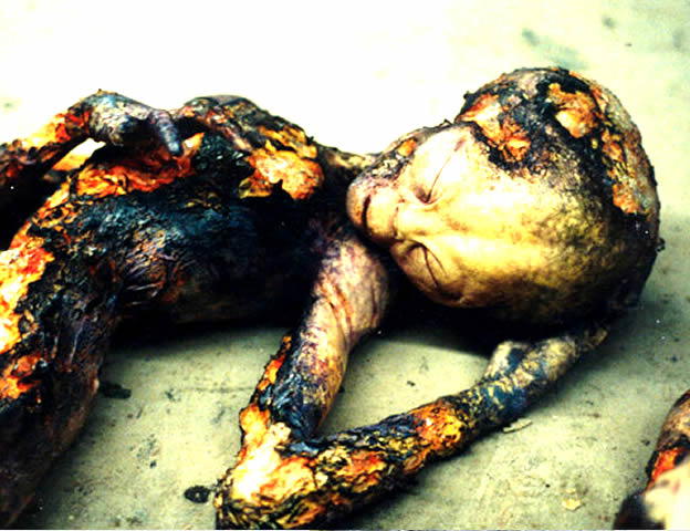 Brazilian UFO Crash: The Truth (2005)