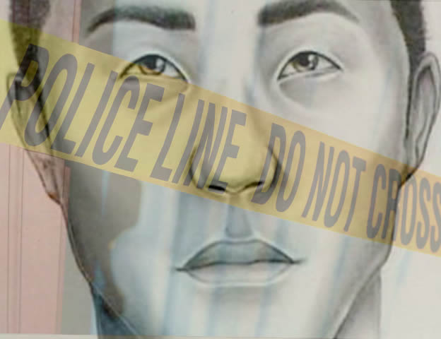 Bodies at the Beach: The Search for a Serial Killer (2012)