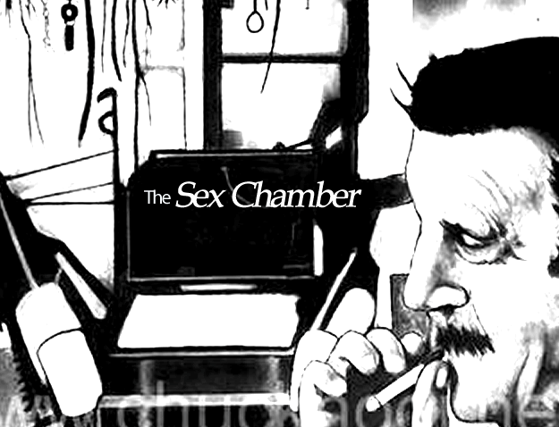 The Sex Chamber (2008)