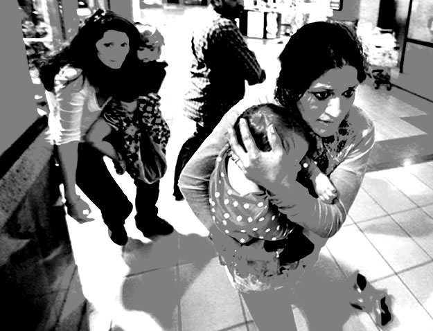 Terror at the Mall (2014)